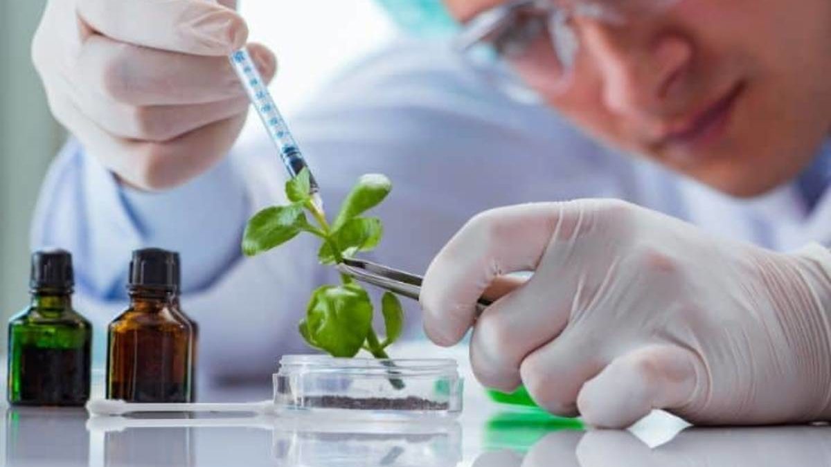 What is Biotechnology? – Types, Applications, Uses, and More