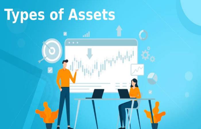 What are the Assets?