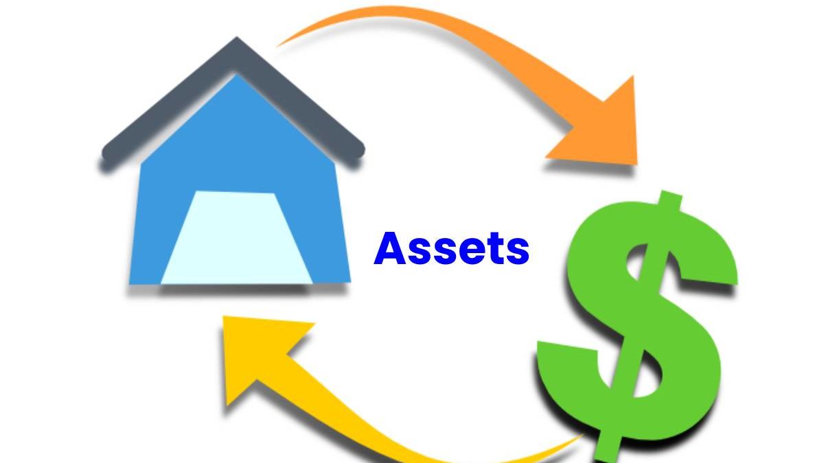 What are the Assets? – 2023