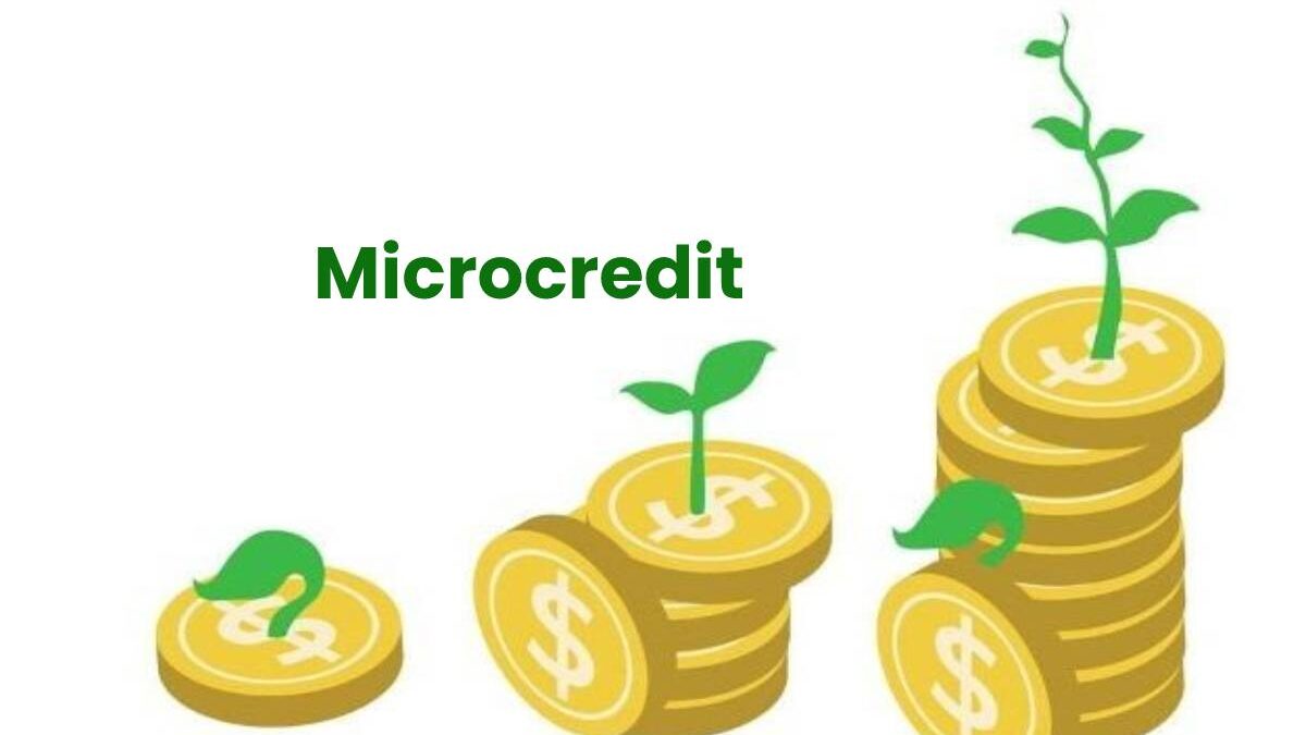 What Is Microcredit? – Works, Micro-Loan Terms, and More