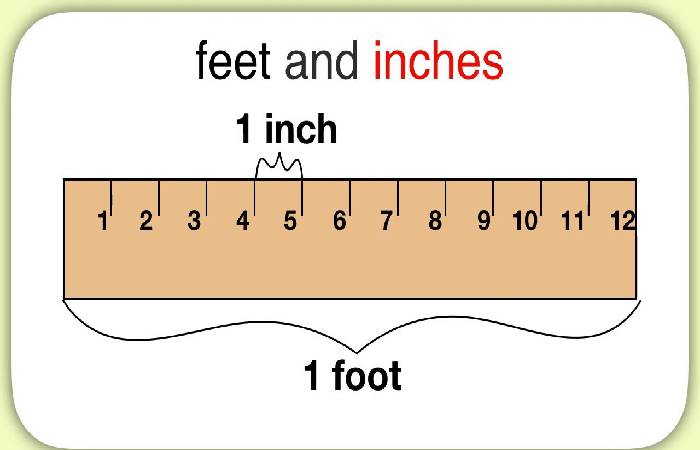 How to Convert 69.1 inches (In) to Feet(Ft)?