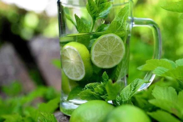 Wellhealthorganic.com:How Detox Water Works in Reducing Weight