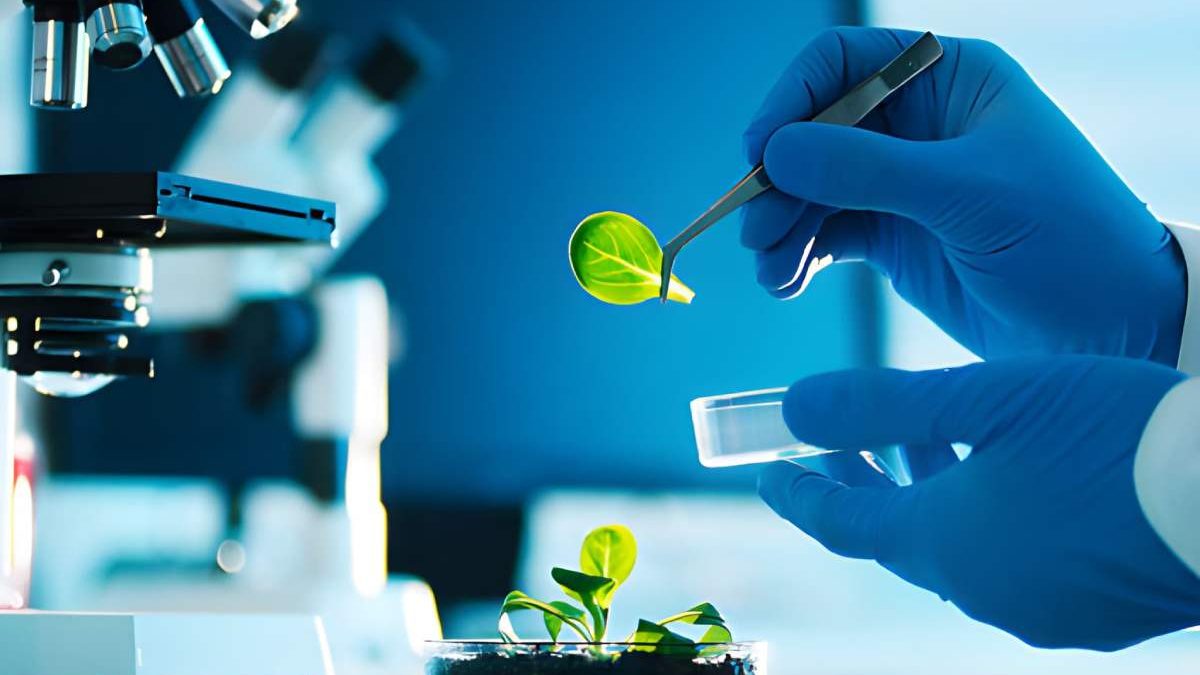 About Biotechnology? – Types, Applications, Uses, and More